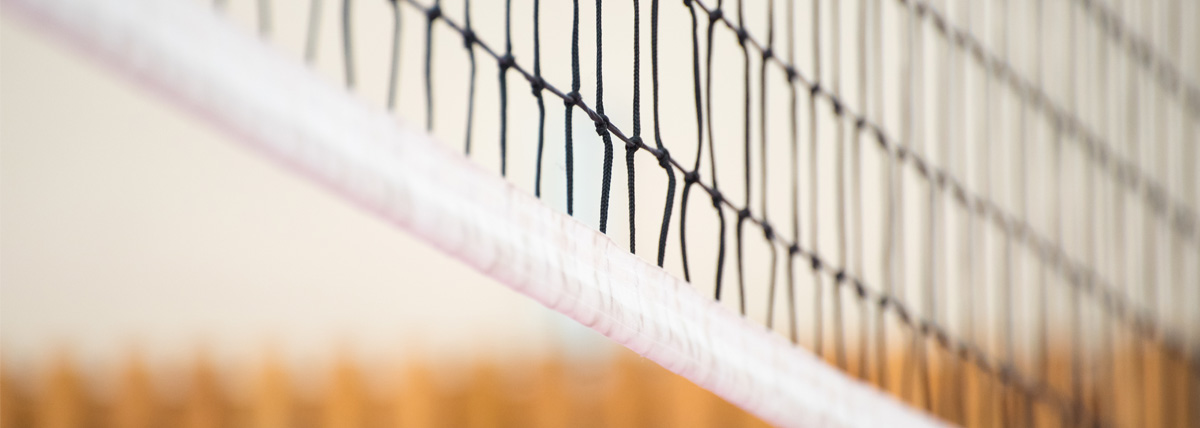 Netzball