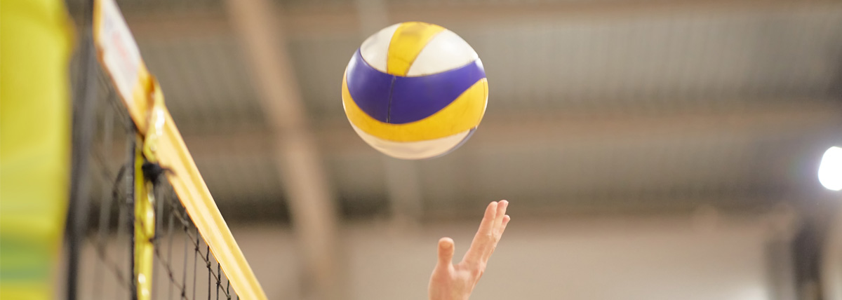 Volley