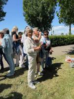 IMG_5359_1_original