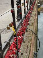 IMG_5391_1_original