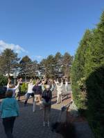 IMG_5421_1_original