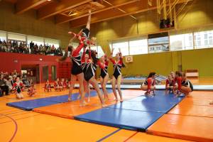 IMG_6531_original_copy_1
